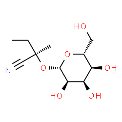 ChemSpider 2D Image | (2R)-2-(beta-D-Allopyranosyloxy)-2-methylbutanenitrile | C11H19NO6