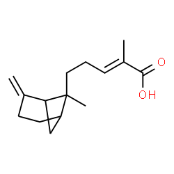 ChemSpider 2D Image | (2E)-2-Methyl-5-(6-methyl-2-methylenebicyclo[3.1.1]hept-6-yl)-2-pentenoic acid | C15H22O2