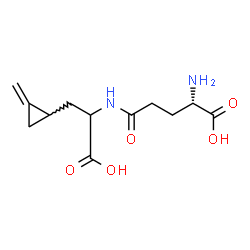 ChemSpider 2D Image | L-gamma-Glutamyl-3-(2-methylenecyclopropyl)alanine | C12H18N2O5