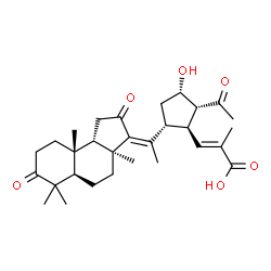 ChemSpider 2D Image | (2E)-3-[(1S,2R,3S,5R)-2-Acetyl-3-hydroxy-5-{(1Z)-1-[(3aS,5aR,9aR,9bS)-3a,6,6,9a-tetramethyl-2,7-dioxododecahydro-3H-cyclopenta[a]naphthalen-3-ylidene]ethyl}cyclopentyl]-2-methylacrylic acid | C30H42O6