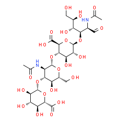 ChemSpider 2D Image | (2S,3S,4S,5R,6R)-6-[(2S,3R,4R,5S,6R)-3-acetamido-2-[(2S,3S,4R,5R,6R)-6-[(1R,2R,3R)-1-[(1R)-1-acetamido-2-oxo-ethyl]-2,3,4-trihydroxy-butoxy]-2-carboxy-4,5-dihydroxy-tetrahydropyran-3-yl]oxy-5-hydroxy-6-(hydroxymethyl)tetrahydropyran-4-yl]oxy-3,4,5-trihydroxy-tetrahydropyran-2-carboxylic acid | C28H44N2O23