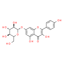ChemSpider 2D Image | 3,5-Dihydroxy-2-(4-hydroxyphenyl)-4-oxo-4H-chromen-7-yl (5xi)-beta-D-xylo-hexopyranoside | C21H20O11