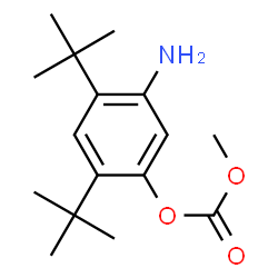 ChemSpider 2D Image | 5-Amino-2,4-bis(1,1-dimethylethyl)phenyl methyl carbonate | C16H25NO3