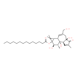 ChemSpider 2D Image | (1aS,1bS,4aR,7aS,7bS,8R,9R,9aS)-4a,7b,9-Trihydroxy-3-(hydroxymethyl)-1,1,6,8-tetramethyl-5-oxo-1,1a,1b,4,4a,5,7a,7b,8,9-decahydro-9aH-cyclopropa[3,4]benzo[1,2-e]azulen-9a-yl myristate | C34H54O7
