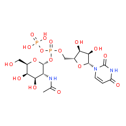 ChemSpider 2D Image | [(2R,3R,4R,5R,6R)-3-acetamido-4,5-dihydroxy-6-(hydroxymethyl)tetrahydropyran-2-yl] [(2R,3S,4R,5R)-5-(2,4-dioxopyrimidin-1-yl)-3,4-dihydroxy-tetrahydrofuran-2-yl]methyl phosphono phosphate | C17H27N3O17P2