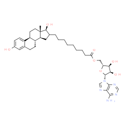 ChemSpider 2D Image | 5'-O-{9-[(17beta)-3,17-Dihydroxyestra-1(10),2,4-trien-16-yl]nonanoyl}adenosine | C37H51N5O7