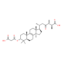 ChemSpider 2D Image | (3alpha,25S)-3-(2-Carboxyacetoxy)-24-methylene-23-oxolanost-8-en-26-oic acid | C34H50O7