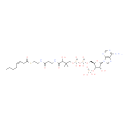 ChemSpider 2D Image | S-{1-[(2R,3S,4R,5R)-5-(6-Amino-9H-purin-9-yl)-4-hydroxy-3-(phosphonooxy)tetrahydro-2-furanyl]-3,5,9-trihydroxy-8,8-dimethyl-3,5-dioxido-10,14-dioxo-2,4,6-trioxa-11,15-diaza-3lambda~5~,5lambda~5~-dipho
sphaheptadecan-17-yl} (3Z)-3-octenethioate | C29H48N7O17P3S