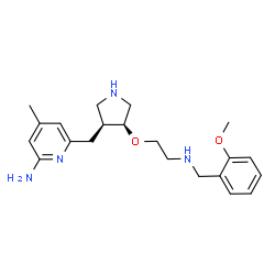 ChemSpider 2D Image | 6-{[(3S,4S)-4-{2-[(2-Methoxybenzyl)amino]ethoxy}-3-pyrrolidinyl]methyl}-4-methyl-2-pyridinamine | C21H30N4O2