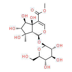 ChemSpider 2D Image | Methyl (1S,4aR,5R,6R,7R,7aR)-1-(beta-D-glucopyranosyloxy)-4a,5,6,7-tetrahydroxy-7-methyl-1,4a,5,6,7,7a-hexahydrocyclopenta[c]pyran-4-carboxylate | C17H26O13