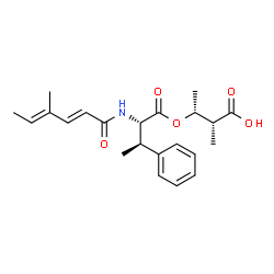 ChemSpider 2D Image | (2R,3R)-2-Methyl-3-({(betaR)-beta-methyl-N-[(2E,4E)-4-methyl-2,4-hexadienoyl]-L-phenylalanyl}oxy)butanoic acid | C22H29NO5