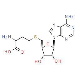 ChemSpider 2D Image | 2-Amino-4-({[(2R,3S,4R,5R)-5-(6-amino-9H-purin-9-yl)-3,4-dihydroxytetrahydro-2-furanyl]methyl}sulfanyl)butanoic acid | C14H20N6O5S