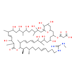 ChemSpider 2D Image | 3-Oxo-3-({(10E,12E,20E)-5,7,9,19,23,25,27,31,33,34,35-undecahydroxy-8,14,18,22,26,30-hexamethyl-15-[(2R,4S,8E)-4-methyl-12-(N'-methylcarbamimidamido)-8-dodecen-2-yl]-17-oxo-16,37-dioxabicyclo[31.3.1]h
eptatriaconta-10,12,20-trien-3-yl}oxy)propanoic acid | C59H103N3O18