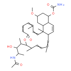ChemSpider 2D Image | 9-(4-Acetamido-3-hydroxy-2-pentanyl)-19-methoxy-3,10,13,20b-tetramethyl-7-oxo-9,10,14a,16a,17,18,19,20,20a,20b-decahydro-7H-naphtho[2,1-h]oxacyclohexadecin-17-yl carbamate | C36H52N2O7