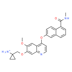 ChemSpider 2D Image | 1-{[(6-Methoxy-4-{[5-(methylcarbamoyl)-2-naphthyl]oxy}-7-quinolinyl)oxy]methyl}cyclopropanaminium | C26H26N3O4