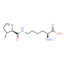 ChemSpider 2D Image | (1S)-1-Carboxy-5-({[(2R,3R)-3-methyl-3,4-dihydro-2H-pyrrol-2-yl]carbonyl}amino)-1-pentanaminium | C12H22N3O3