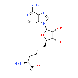 ChemSpider 2D Image | 5'-S-[(3S)-3-Amino-3-carboxylatopropyl]-5'-thioadenosine | C14H19N6O5S