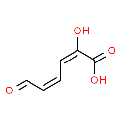 ChemSpider 2D Image | (2E,4Z)-2-Hydroxy-6-oxo-2,4-hexadienoic acid | C6H6O4