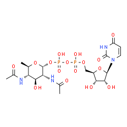 ChemSpider 2D Image | UDP-N,N'-diacetylbacillosamine | C19H30N4O16P2