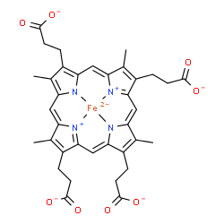 ChemSpider 2D Image | [3,3',3'',3'''-(3,8,13,17-Tetramethyl-2,7,12,18-porphyrintetrayl-kappa~4~N~21~,N~22~,N~23~,N~24~)tetrapropanoato(6-)]ferrate(4-) | C36H32FeN4O8