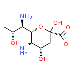 ChemSpider 2D Image | (6S)-5-Ammonio-6-[(1R,2R)-1-ammonio-2-hydroxypropyl]-3,5-dideoxy-alpha-L-threo-hex-2-ulopyranosonate | C9H19N2O6