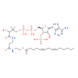 ChemSpider 2D Image | cis,cis-tetradeca-5,8-dienoyl-CoA | C35H58N7O17P3S