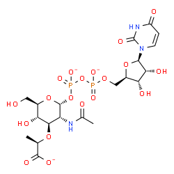 ChemSpider 2D Image | (2R)-2-{[(2R,3R,4R,5S,6R)-3-Acetamido-2-({[({[(2R,3S,4R,5R)-5-(2,4-dioxo-3,4-dihydro-1(2H)-pyrimidinyl)-3,4-dihydroxytetrahydro-2-furanyl]methoxy}phosphinato)oxy]phosphinato}oxy)-5-hydroxy-6-(hydroxym
ethyl)tetrahydro-2H-pyran-4-yl]oxy}propanoate | C20H28N3O19P2