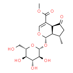 ChemSpider 2D Image | Methyl (1S,4aS,7S,7aR)-1-(beta-L-glucopyranosyloxy)-7-methyl-5-oxo-1,4a,5,6,7,7a-hexahydrocyclopenta[c]pyran-4-carboxylate | C17H24O10