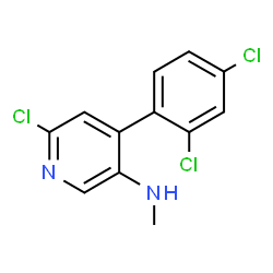 ChemSpider 2D Image | 6-Chloro-4-(2,4-dichlorophenyl)-N-methyl-3-pyridinamine | C12H9Cl3N2