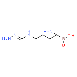 ChemSpider 2D Image | {1-Amino-4-[(E)-(hydrazinomethylene)amino]butyl}boronic acid | C5H15BN4O2