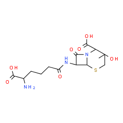 ChemSpider 2D Image | 7-[(5-Amino-5-carboxypentanoyl)amino]-3-hydroxy-3-methyl-8-oxo-5-thia-1-azabicyclo[4.2.0]octane-2-carboxylic acid | C14H21N3O7S