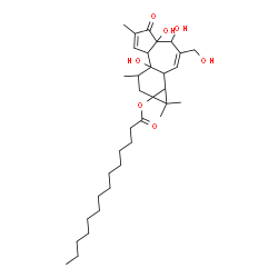 ChemSpider 2D Image | 4,4a,7b-Trihydroxy-3-(hydroxymethyl)-1,1,6,8-tetramethyl-5-oxo-1,1a,1b,4,4a,5,7a,7b,8,9-decahydro-9aH-cyclopropa[3,4]benzo[1,2-e]azulen-9a-yl myristate | C34H54O7