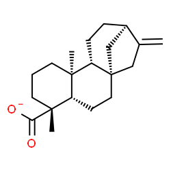 ChemSpider 2D Image | (5beta,8alpha,9beta,10alpha,13alpha)-Kaur-16-en-18-oate | C20H29O2