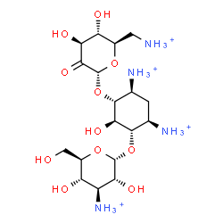 ChemSpider 2D Image | (1S,2R,3R,4S,6R)-4,6-Diammonio-3-[(6-ammonio-6-deoxy-alpha-D-arabino-hexopyranosyl-2-ulose)oxy]-2-hydroxycyclohexyl 3-ammonio-3-deoxy-alpha-D-glucopyranoside | C18H38N4O11