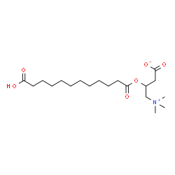 ChemSpider 2D Image | O-(11-carboxyundecanoyl)carnitine | C19H35NO6