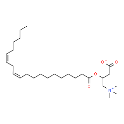ChemSpider 2D Image | (11Z,14Z)-eicosadienoylcarnitine | C27H49NO4