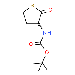 ChemSpider 2D Image | 2-Methyl-2-propanyl (2-oxotetrahydro-3-thiophenyl)carbamate | C9H15NO3S