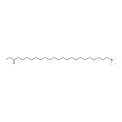 ChemSpider 2D Image | 23-Methylpentacosanoic acid | C26H52O2