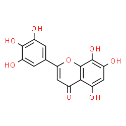ChemSpider 2D Image | 5,7,8-Trihydroxy-2-(3,4,5-trihydroxyphenyl)-4H-chromen-4-one | C15H10O8