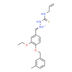 ChemSpider 2D Image | 2-(Allylcarbamothioyl)-1-{3-ethoxy-4-[(3-methylbenzyl)oxy]benzylidene}hydrazinium | C21H26N3O2S