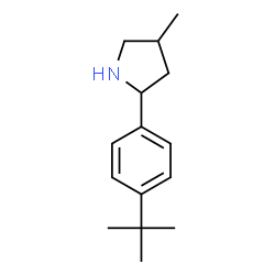 ChemSpider 2D Image | 4-Methyl-2-[4-(2-methyl-2-propanyl)phenyl]pyrrolidine | C15H23N