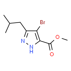 ChemSpider 2D Image | methyl 4-bromo-3-isobutyl-1H-pyrazole-5-carboxylate | C9H13BrN2O2