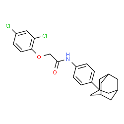 ChemSpider 2D Image | N-[4-(Adamantan-1-yl)phenyl]-2-(2,4-dichlorophenoxy)acetamide | C24H25Cl2NO2