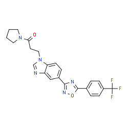 ChemSpider 2D Image | 1-(1-Pyrrolidinyl)-3-(5-{5-[4-(trifluoromethyl)phenyl]-1,2,4-oxadiazol-3-yl}-1H-benzimidazol-1-yl)-1-propanone | C23H20F3N5O2