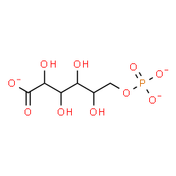 ChemSpider 2D Image | 6-O-Phosphonatohexonate | C6H10O10P