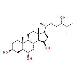 ChemSpider 2D Image | (3beta,5alpha,6beta,15beta,24S)-Cholestane-3,6,15,24-tetrol | C27H48O4
