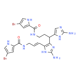 ChemSpider 2D Image | N-[(2E)-3-{2-Amino-4-[1-(2-amino-1H-imidazol-4-yl)-3-{[(4-bromo-1H-pyrrol-2-yl)carbonyl]amino}propyl]-1H-imidazol-5-yl}-2-propen-1-yl]-4-bromo-1H-pyrrole-2-carboxamide | C22H24Br2N10O2