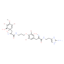 ChemSpider 2D Image | 2-Amino-4-(2-{[(2E)-3-{3,5-dibromo-4-[3-({[(5S,10R)-7,9-dibromo-10-hydroxy-8-methoxy-1-oxa-2-azaspiro[4.5]deca-2,6,8-trien-3-yl]carbonyl}amino)propoxy]phenyl}-2-(hydroxyimino)propanoyl]amino}ethyl)-1H
-imidazol-1-ium | C27H30Br4N7O7
