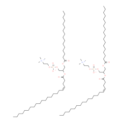ChemSpider 2D Image | 2-[(4Z)-4-Docosenoyloxy]-3-(palmitoyloxy)propyl 2-(trimethylammonio)ethyl phosphate - 2-[(4Z)-4-icosenoyloxy]-3-(stearoyloxy)propyl 2-(trimethylammonio)ethyl phosphate (1:1) | C92H180N2O16P2