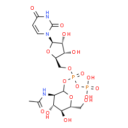 ChemSpider 2D Image | [(3R,4R,5S,6R)-3-acetamido-4,5-dihydroxy-6-(hydroxymethyl)tetrahydropyran-2-yl] [(2R,3S,4R,5R)-5-(2,4-dioxopyrimidin-1-yl)-3,4-dihydroxy-tetrahydrofuran-2-yl]methyl phosphono phosphate | C17H27N3O17P2